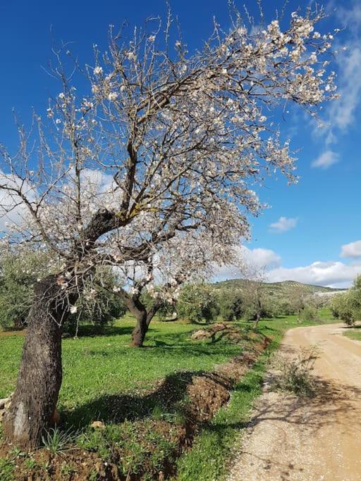 Las Casillas  Casa Holmesヴィラ エクステリア 写真