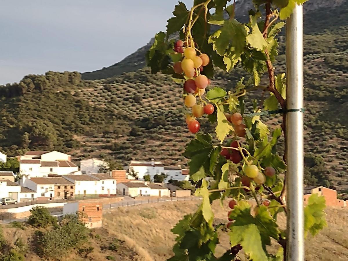 Las Casillas  Casa Holmesヴィラ エクステリア 写真